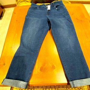 Ann Taylor Factory @THE GIRLFRIEND” Curvy Fit Jean.